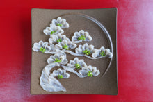 画像をギャラリービューアに読み込む, 栄松 (さかえまつ)