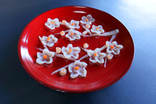 画像をギャラリービューアに読み込む, 梅花 (ばいか)