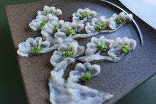 画像をギャラリービューアに読み込む, 栄松 (さかえまつ)